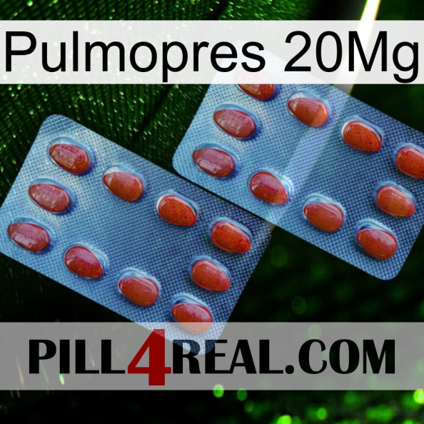 Pulmopres 20Mg 05.jpg